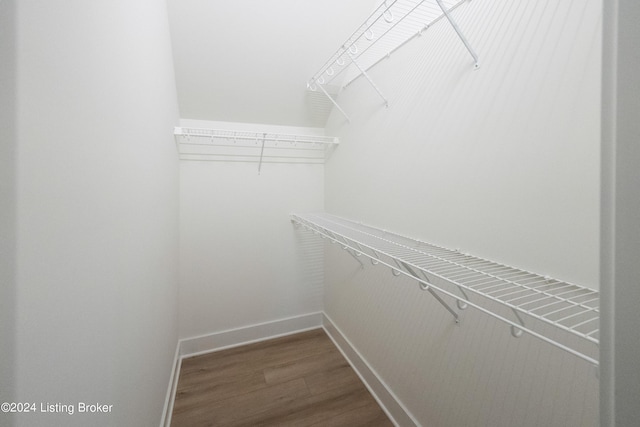 spacious closet featuring hardwood / wood-style floors