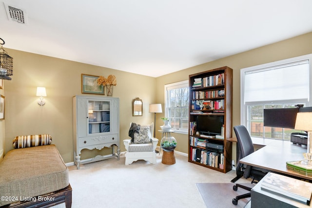 office space with a wealth of natural light and carpet