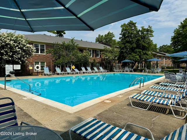 view of swimming pool with a patio area