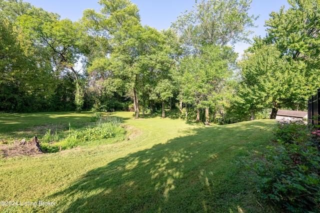 view of yard