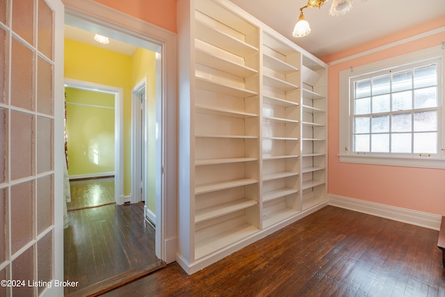 interior space with dark hardwood / wood-style floors