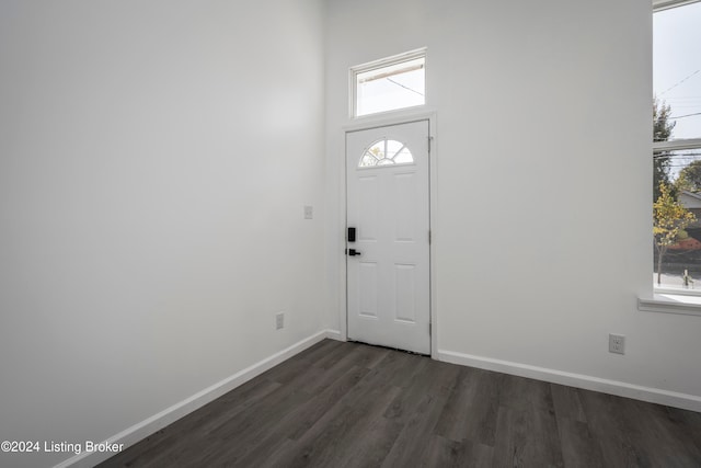 entrance foyer with dark hardwood / wood-style flooring and a wealth of natural light