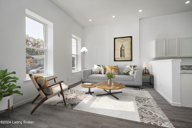 living room featuring dark hardwood / wood-style floors