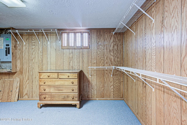 spacious closet featuring carpet floors and electric panel