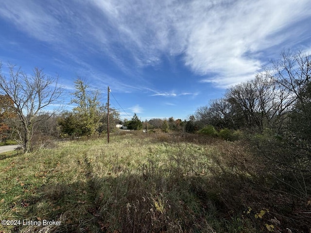 309 Lear Ln, Bedford, KY 40006 - photo 1
