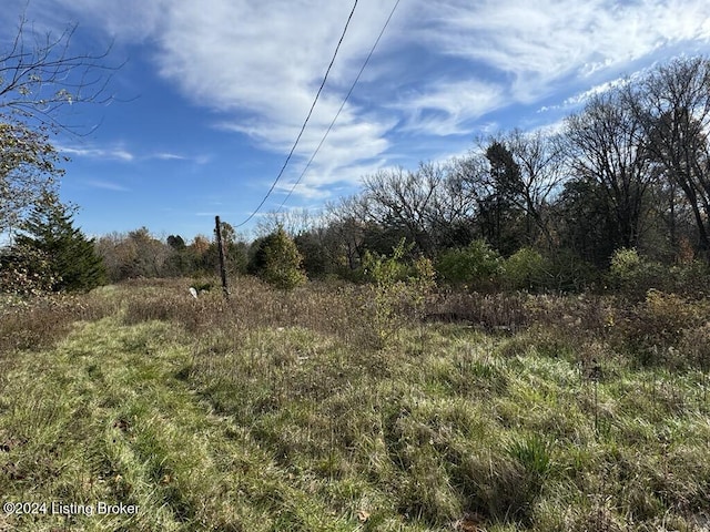 309 Lear Ln, Bedford, KY 40006 - photo 2