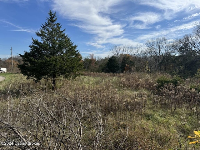 309 Lear Ln, Bedford, KY 40006 - photo 3