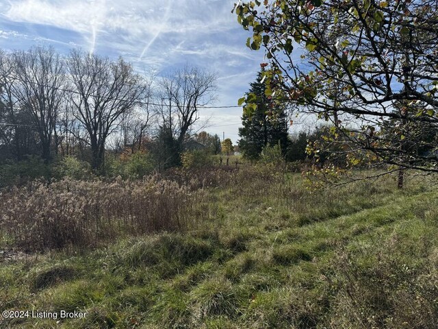 309 Lear Ln, Bedford, KY 40006 - photo 4