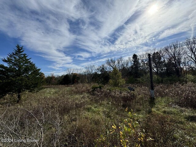 309 Lear Ln, Bedford, KY 40006 - photo 5