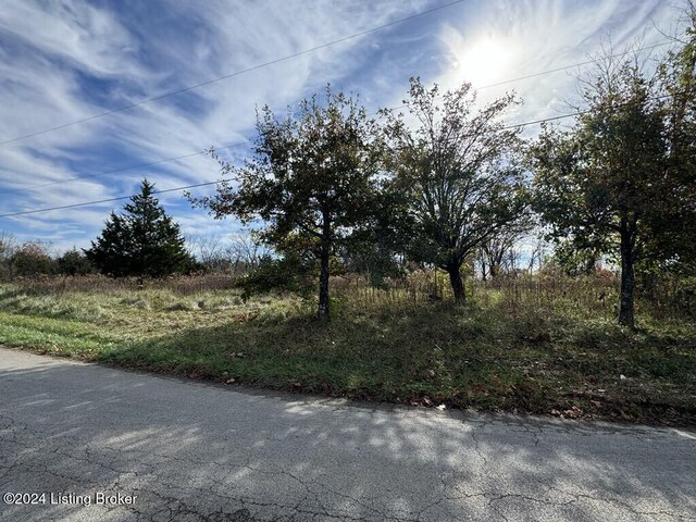 309 Lear Ln, Bedford, KY 40006 - photo 6