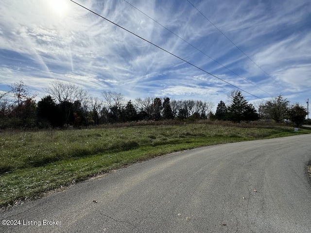 309 Lear Ln, Bedford, KY 40006 - photo 7