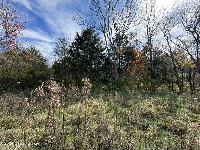 309 Lear Ln, Bedford, KY 40006 - photo 9