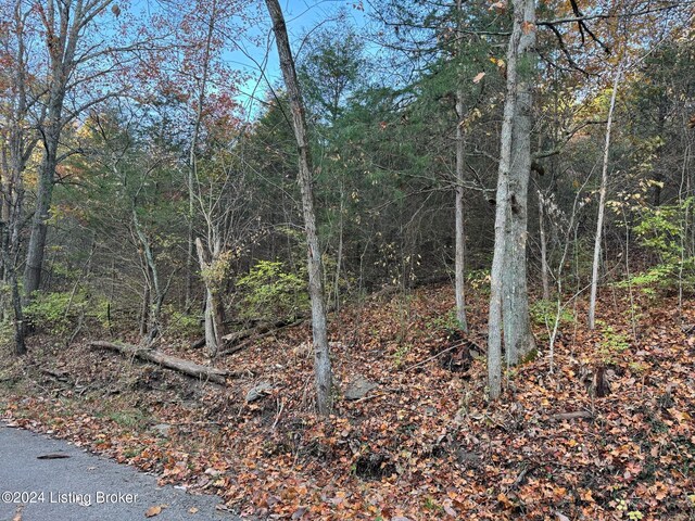 309 Lear Ln, Bedford, KY 40006 - photo 10