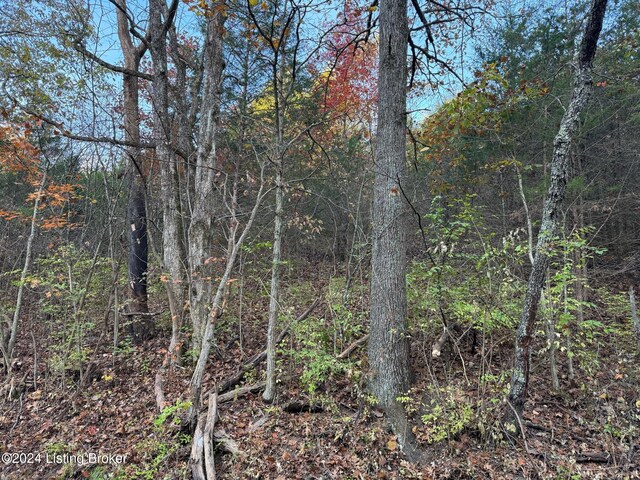 309 Lear Ln, Bedford, KY 40006 - photo 11