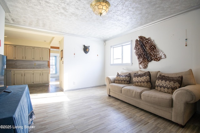 living room with ornamental molding