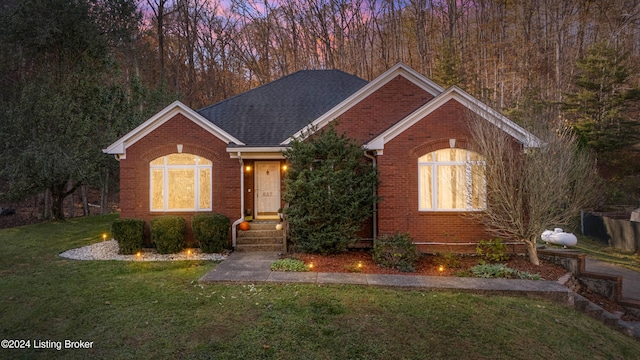 view of front of house featuring a yard