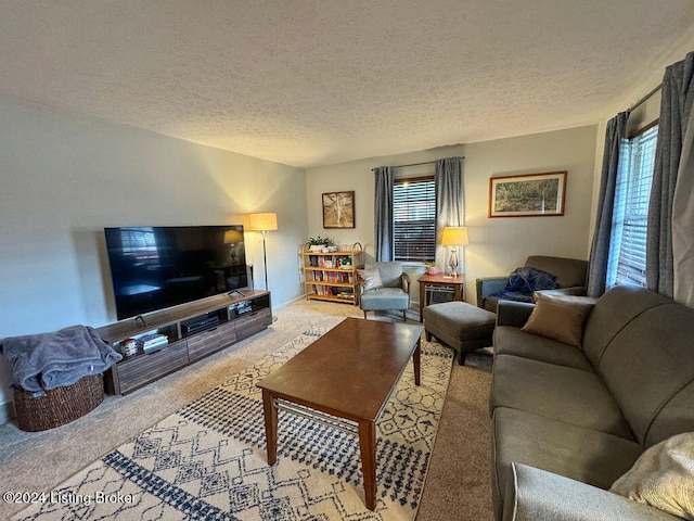 carpeted living room with a textured ceiling and a healthy amount of sunlight