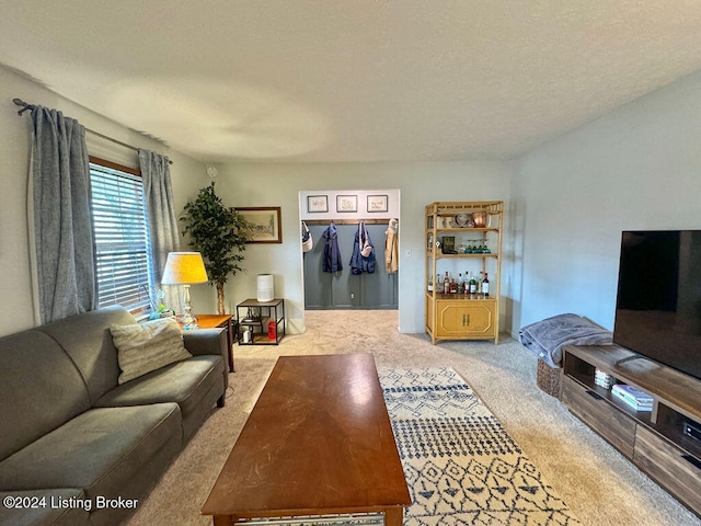 living room with a textured ceiling and light carpet