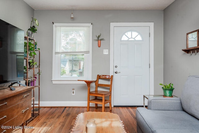 entrance foyer featuring light hardwood / wood-style flooring