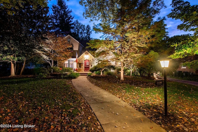 view of property hidden behind natural elements with a front lawn