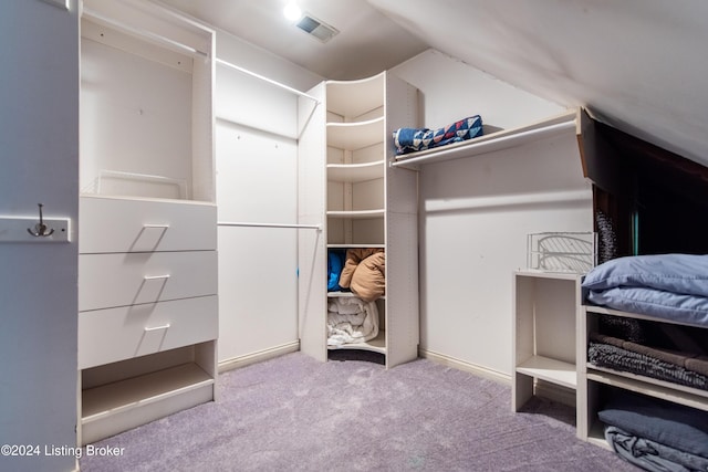 spacious closet with carpet