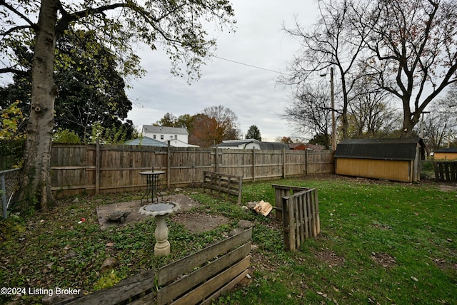 view of yard with a shed