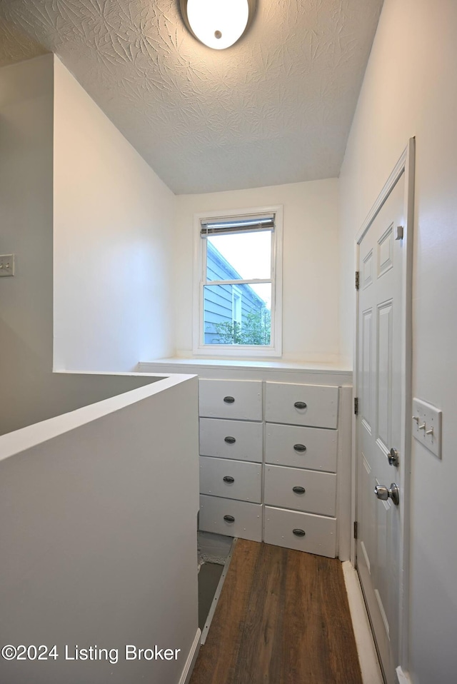 walk in closet featuring dark hardwood / wood-style floors and lofted ceiling