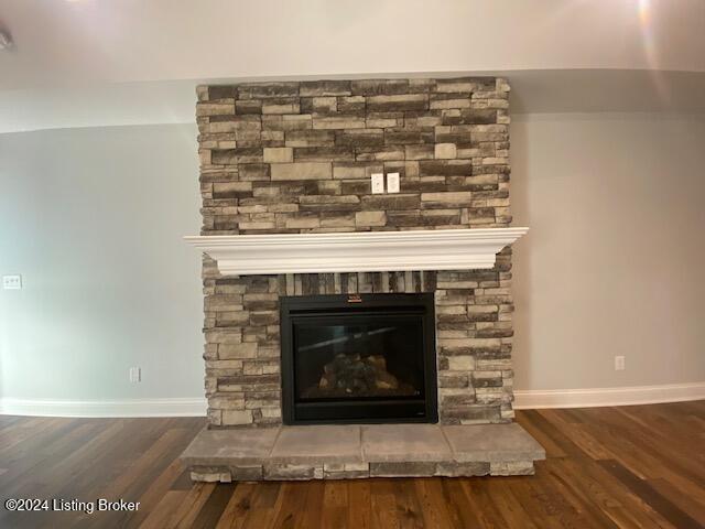 interior details featuring a fireplace and wood-type flooring