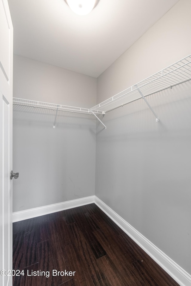 spacious closet featuring dark wood-type flooring