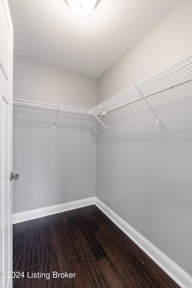 304 Hidden Falls Dr, Mt Washington, KY 40047 - walk in closet with wood finished floors