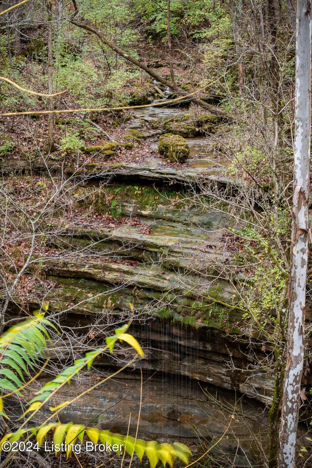 304 Hidden Falls Dr, Mt Washington, KY 40047 - view of undeveloped land