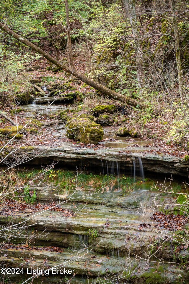 304 Hidden Falls Dr, Mt Washington, KY 40047 - view of nature