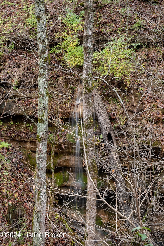 view of nature featuring a water view