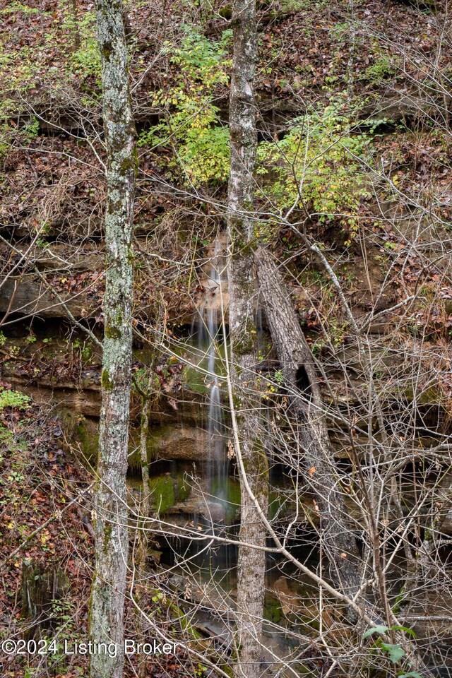 304 Hidden Falls Dr, Mt Washington, KY 40047 - view of local wilderness