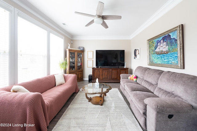 living room with ceiling fan, light wood-type flooring, and crown molding