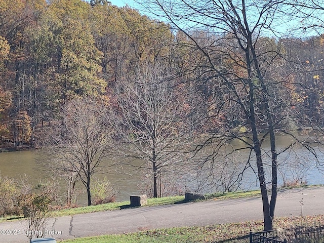 property view of water featuring a wooded view