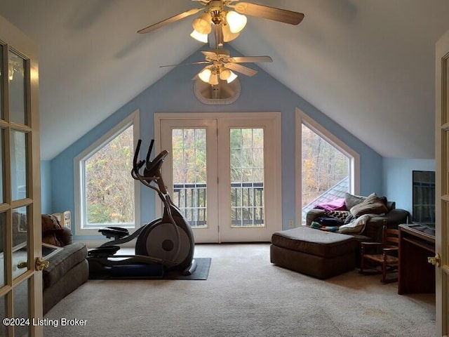 workout area with plenty of natural light, carpet floors, and vaulted ceiling