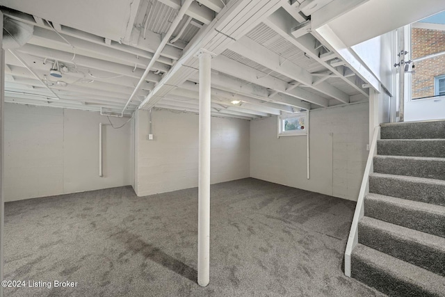 basement featuring carpet floors