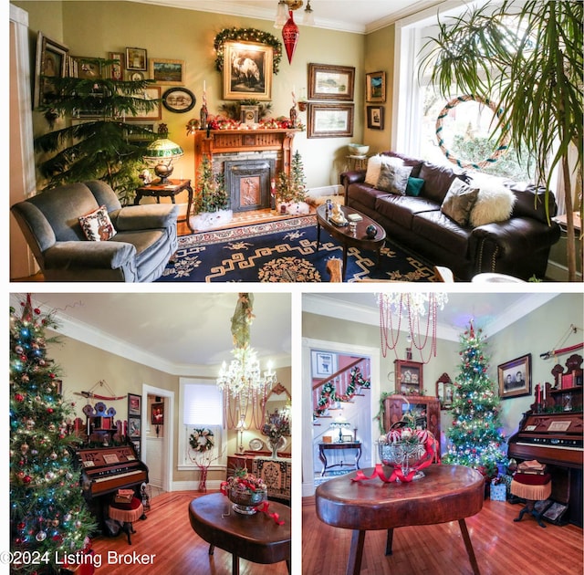 living room featuring plenty of natural light, hardwood / wood-style floors, a notable chandelier, and crown molding