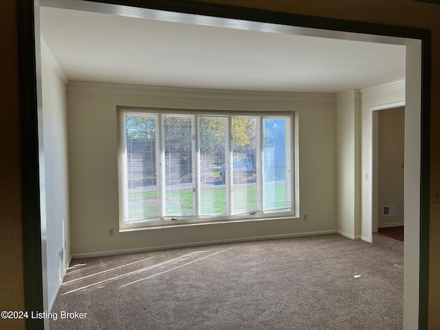 empty room with carpet floors and ornamental molding