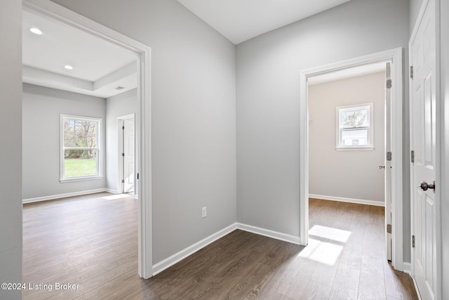 hallway with plenty of natural light and wood-type flooring