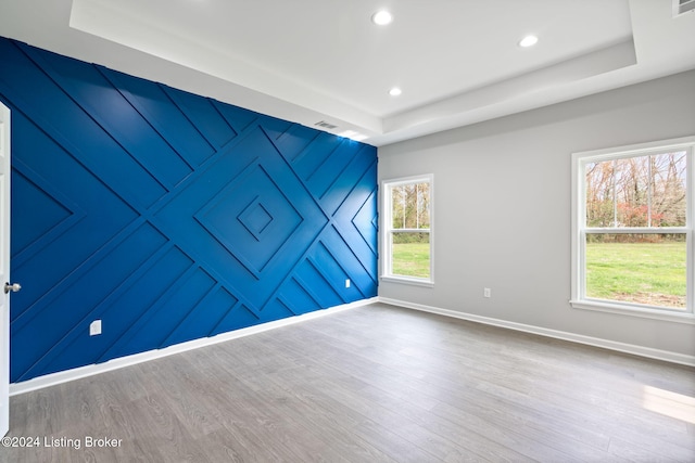 spare room featuring wood-type flooring and a raised ceiling