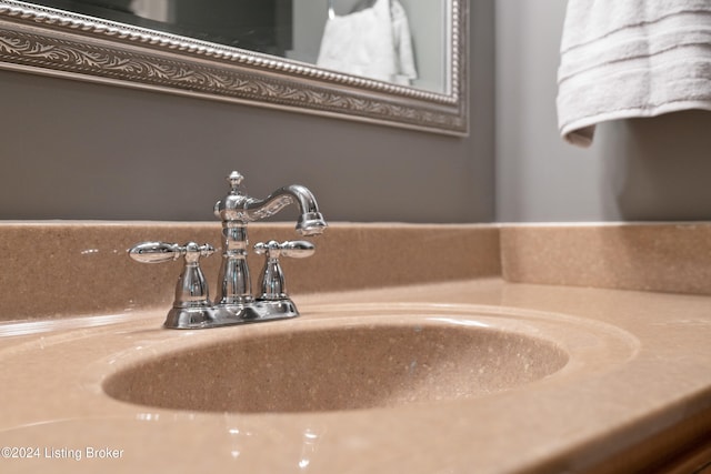 interior details featuring sink