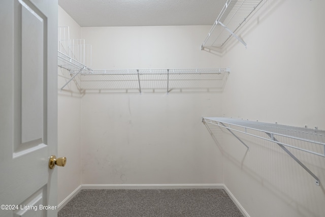 spacious closet featuring carpet flooring