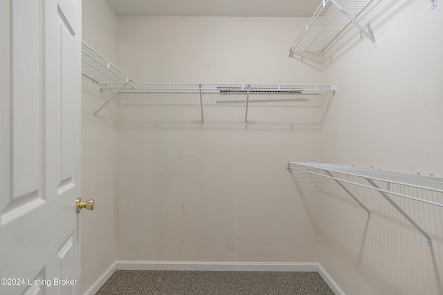 spacious closet with carpet