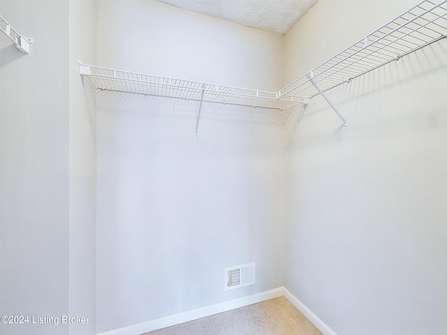 spacious closet with carpet floors