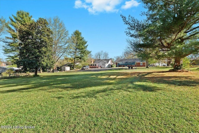 314 S Lincoln Blvd, Hodgenville, KY 42748 - view of grassy yard