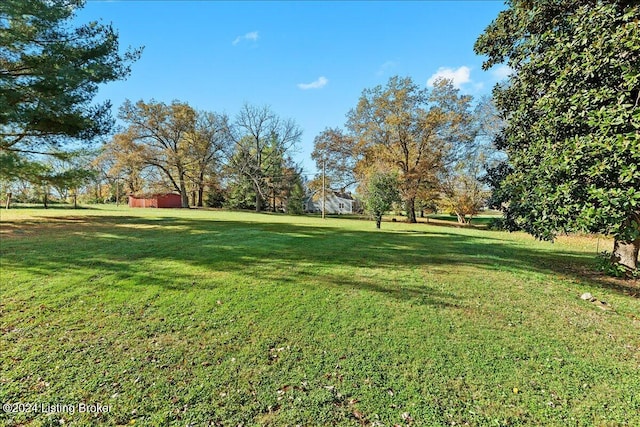 view of yard