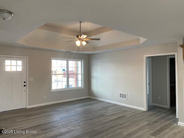 foyer featuring a healthy amount of sunlight, dark hardwood / wood-style floors, and a raised ceiling