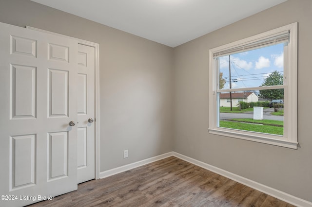 interior space featuring multiple windows and wood-type flooring